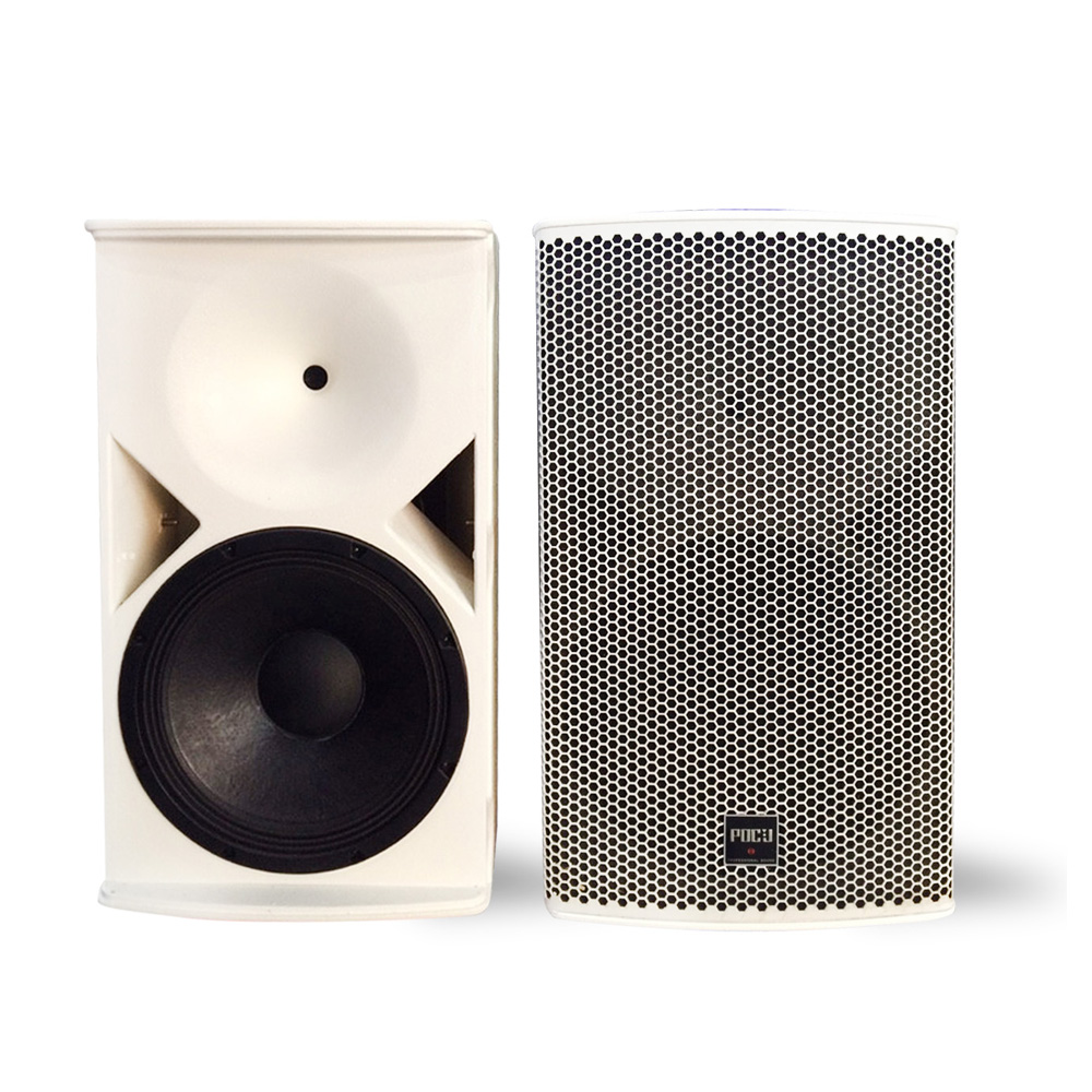 Loa karaoke PDCJ PA-10N